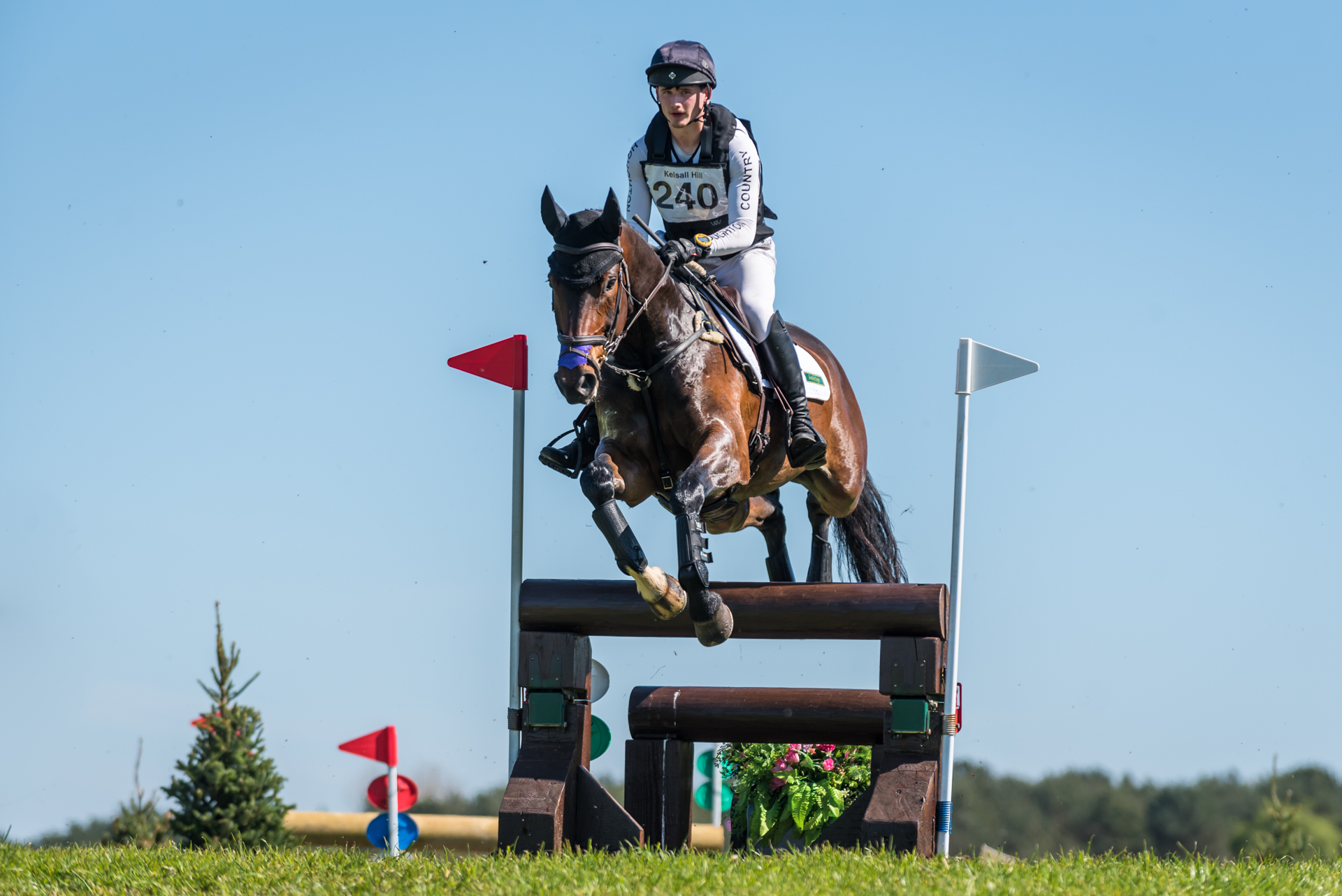 Kelsall Hill showcases The Howden Way Young Horse talent 