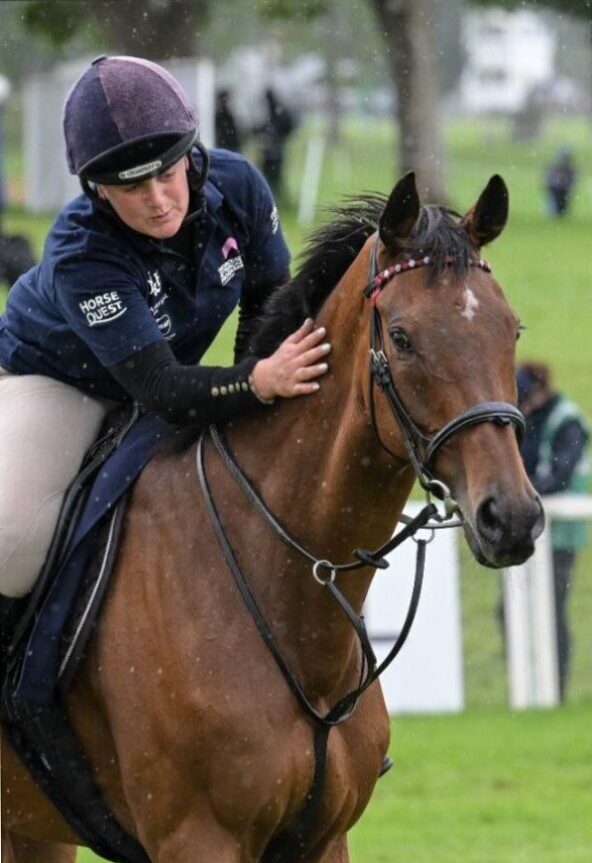 Thoroughbred Aftercare Programme