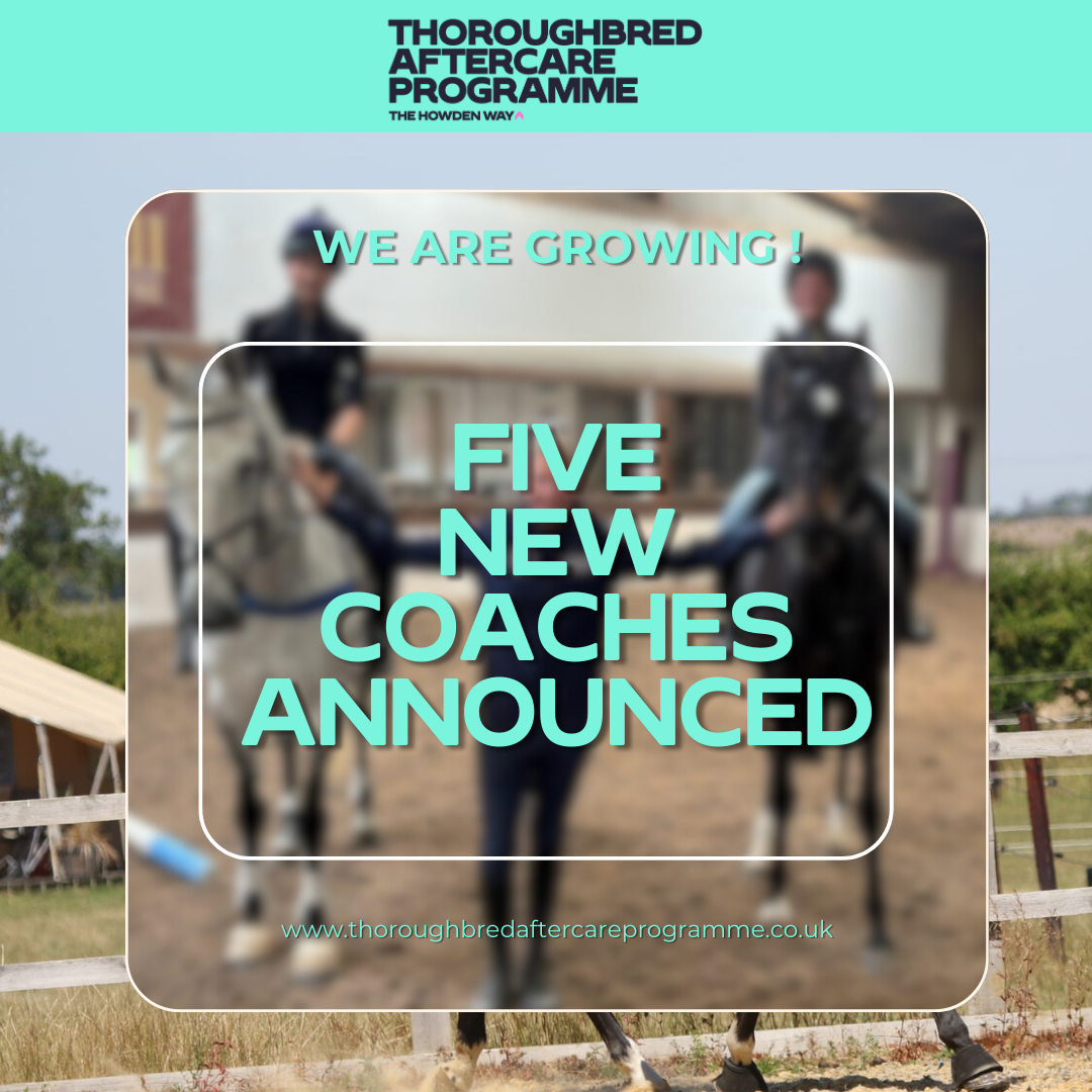 Thoroughbred Aftercare Programme Expands Coaching Team with Five New Appointments