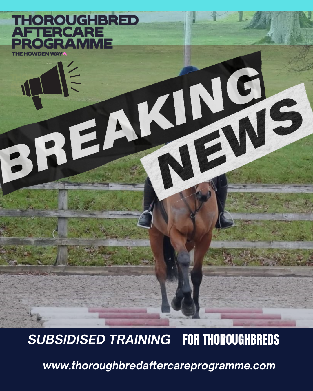 New Collaboration Enhances Traceability and Welfare of Former Racehorses
