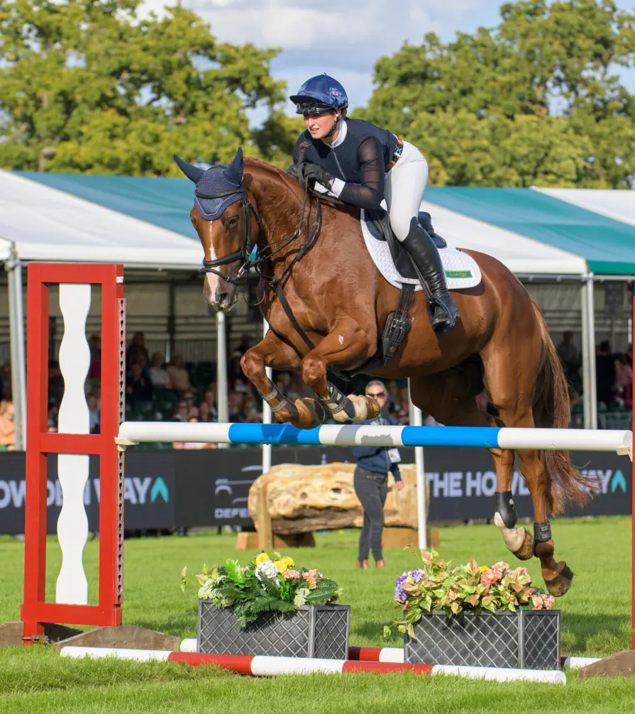 Proven success and further support