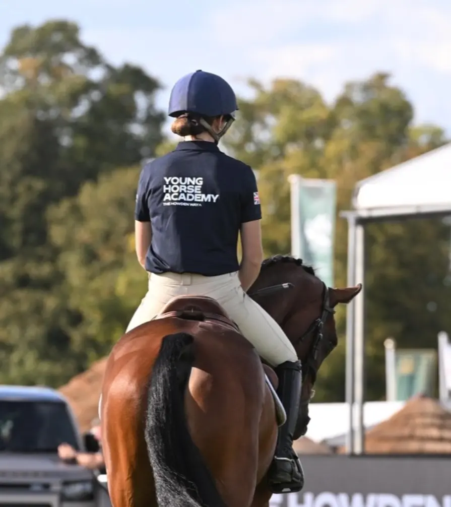 Young Horse Academy