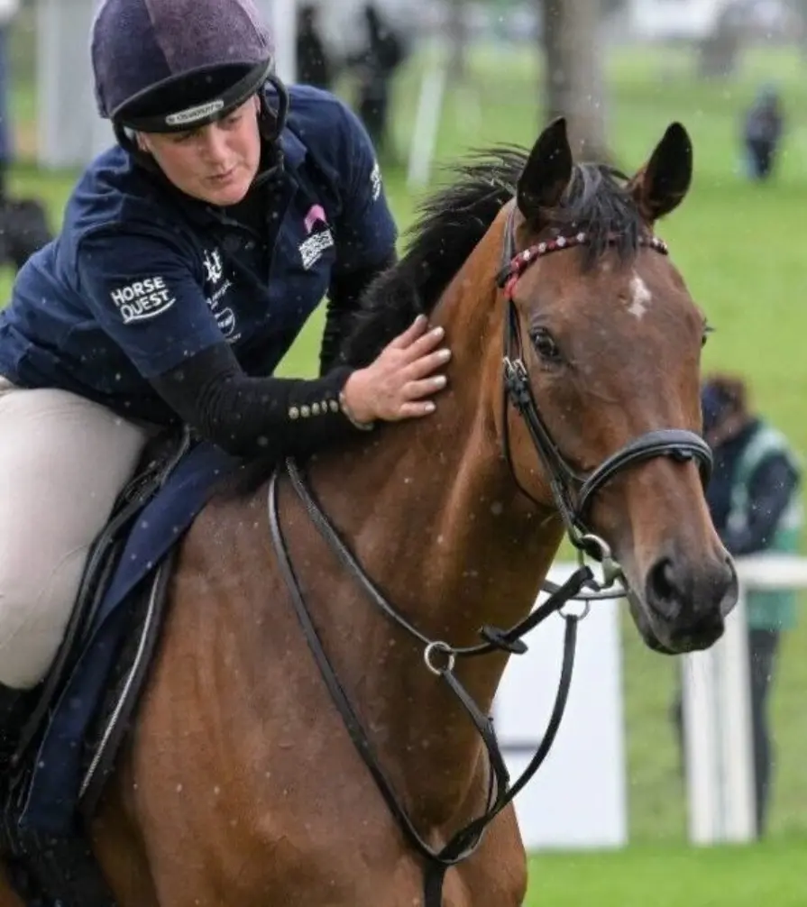 Thoroughbred Aftercare Programme (TAP)